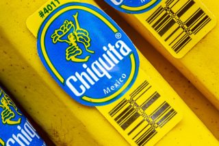 chiquita